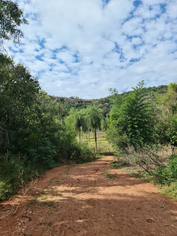 Cerro Cabrera Viewpoint