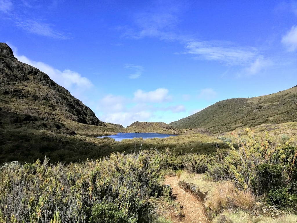 Cerro Chirripó Summit