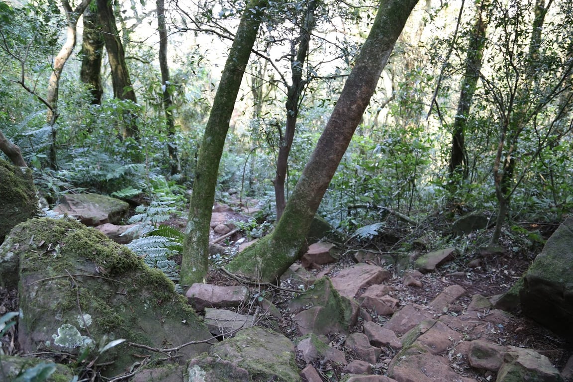 Cerro Tres Kandu