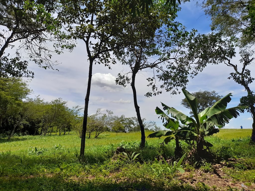 Cerro Tres Kandu