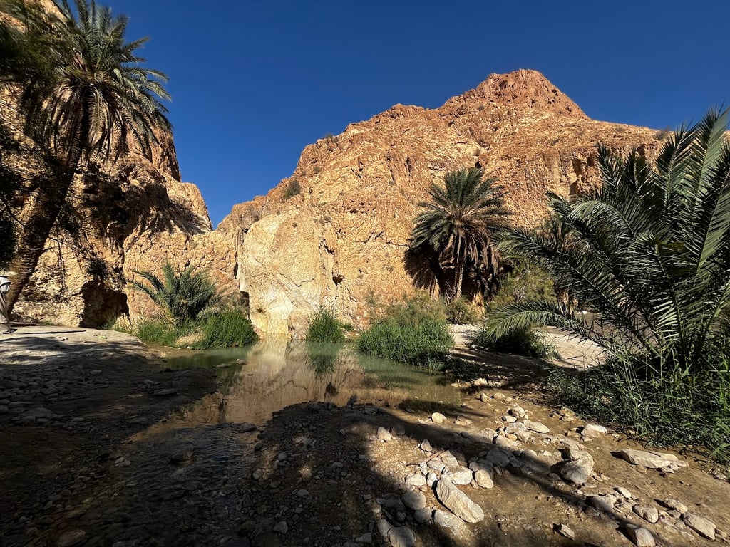 Chebika Oasis