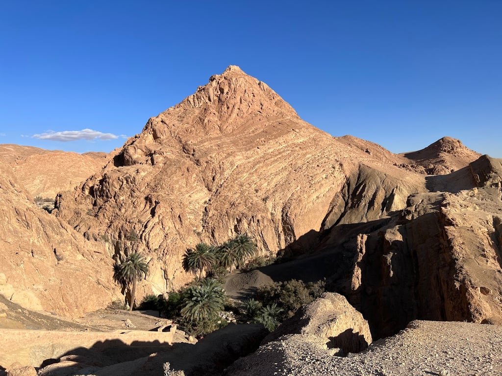 Chebika Oasis