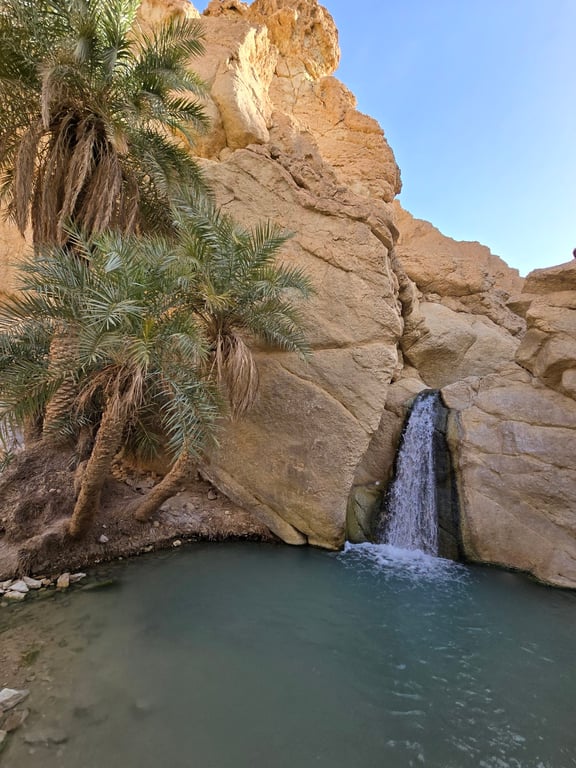 Chebika Oasis