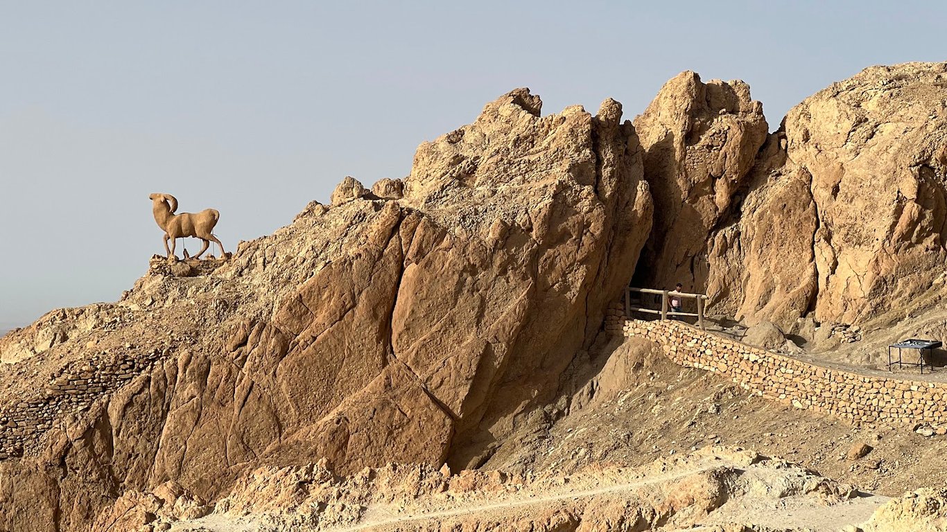 Chebika Oasis
