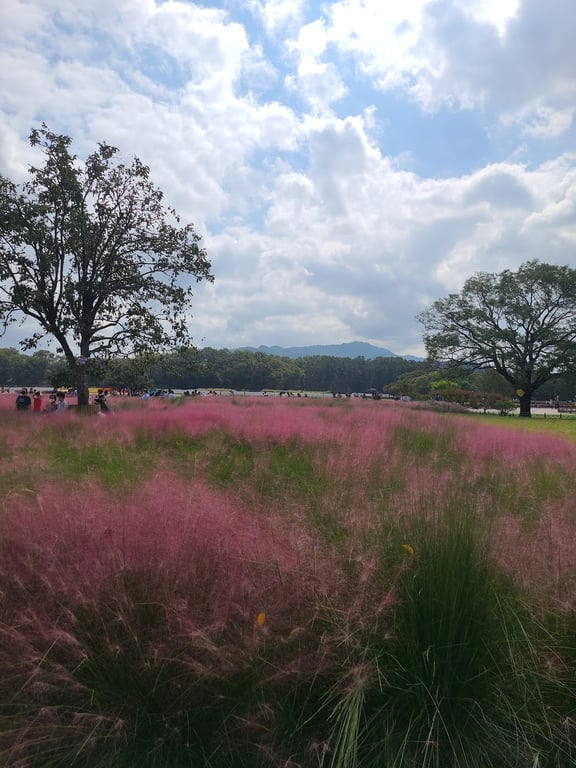 Cheomseongdae Observatory