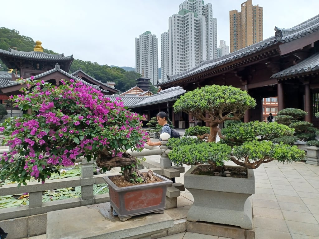 Chi Lin Nunnery & Nan Lian Garden