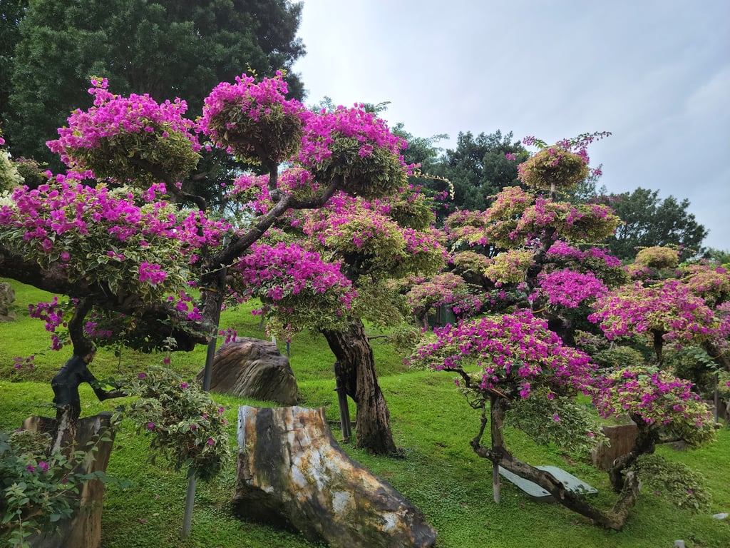 Chi Lin Nunnery & Nan Lian Garden