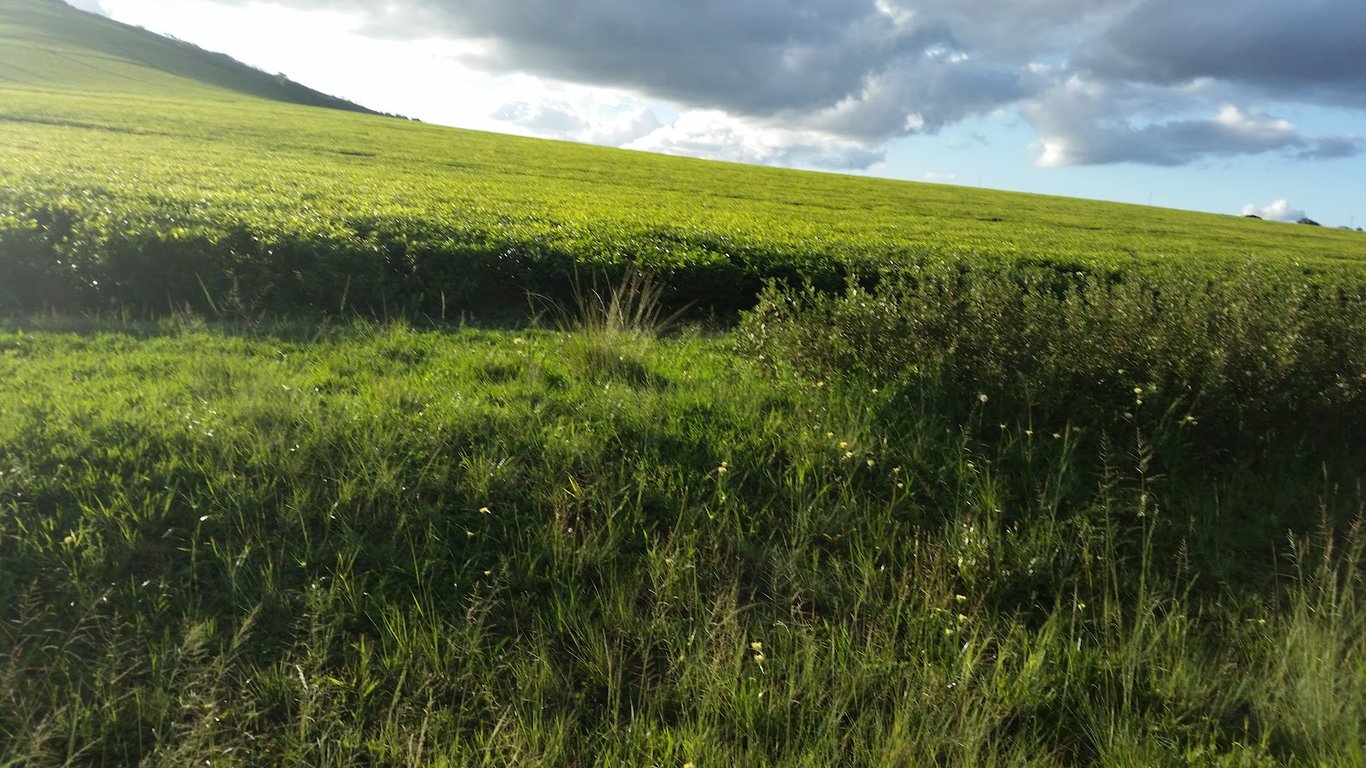 Chimanimani Mountains