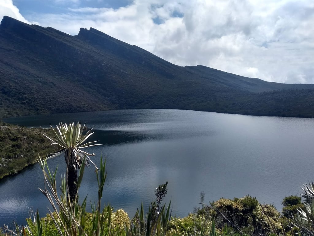 Chingaza National Park