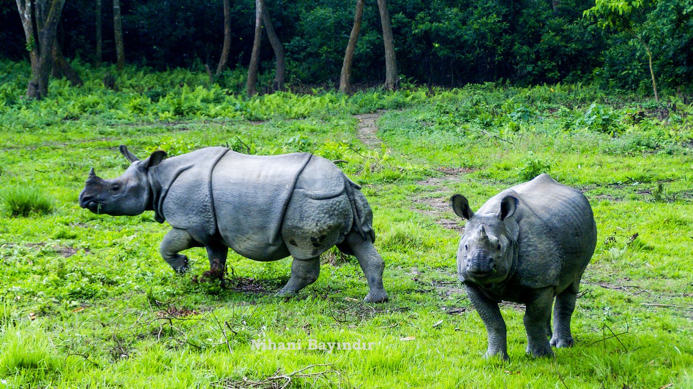 Chitwan National Park