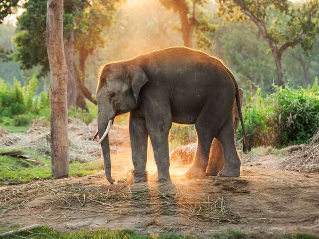 Chitwan National Park