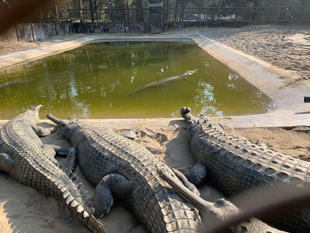 Chitwan National Park