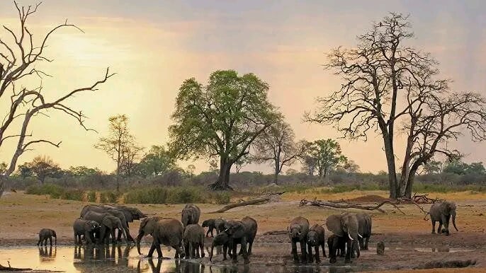 Chizarira National Park