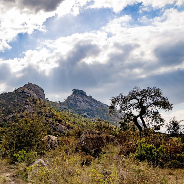 Chongoni Rock Art Area