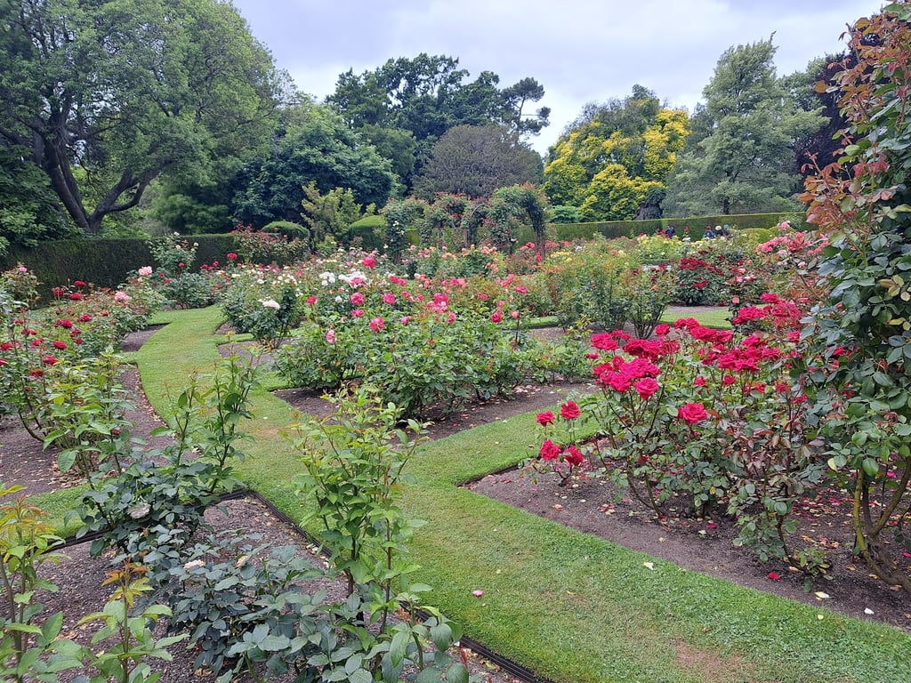 Christchurch Botanic Gardens & Avon River