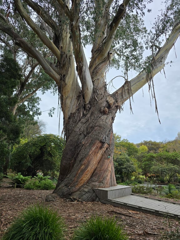 Christchurch Botanic Gardens & Avon River