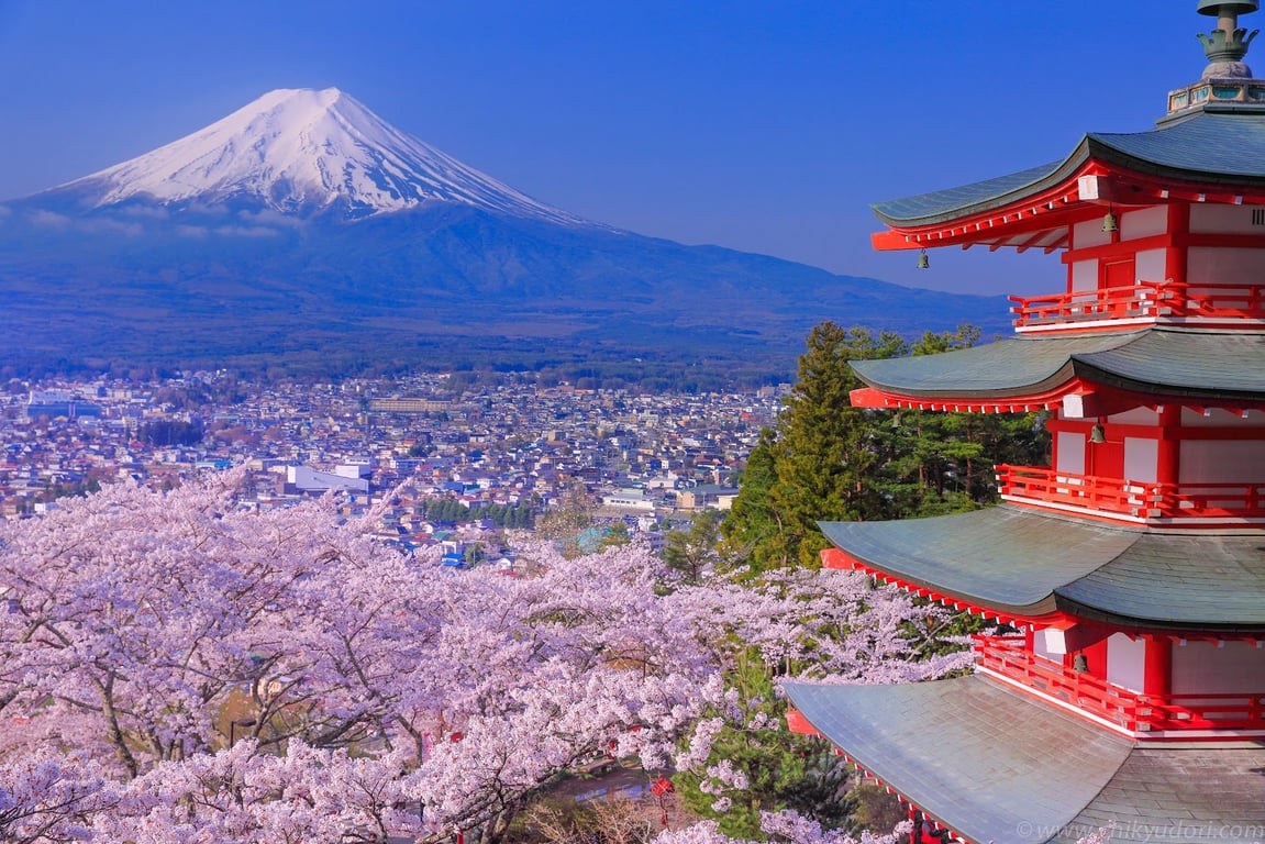 Chureito Pagoda & Sakura
