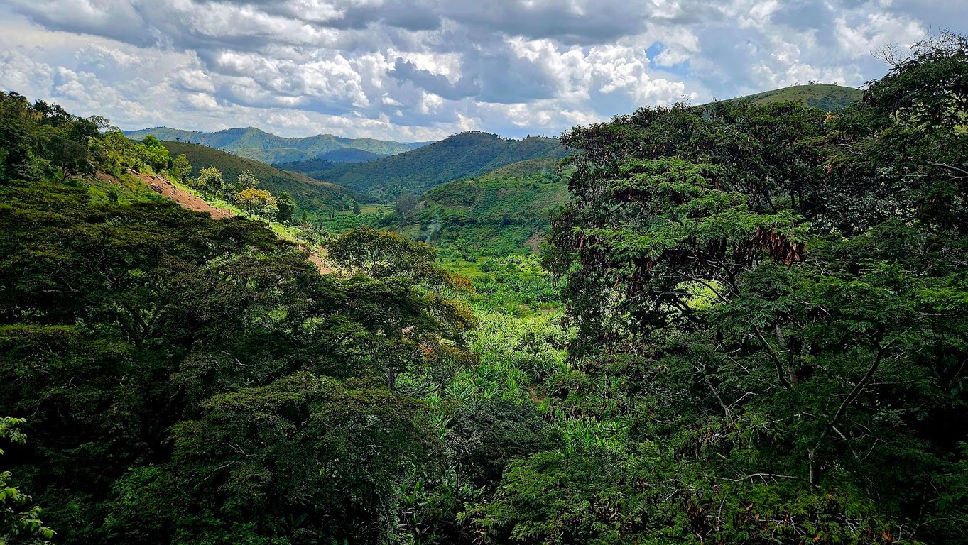 Chutes de Kagera