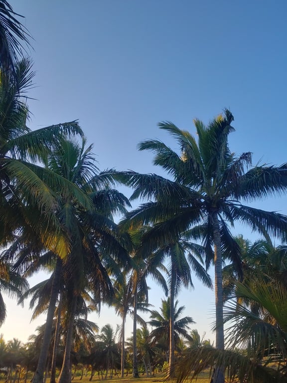 Coco Bay Beaches