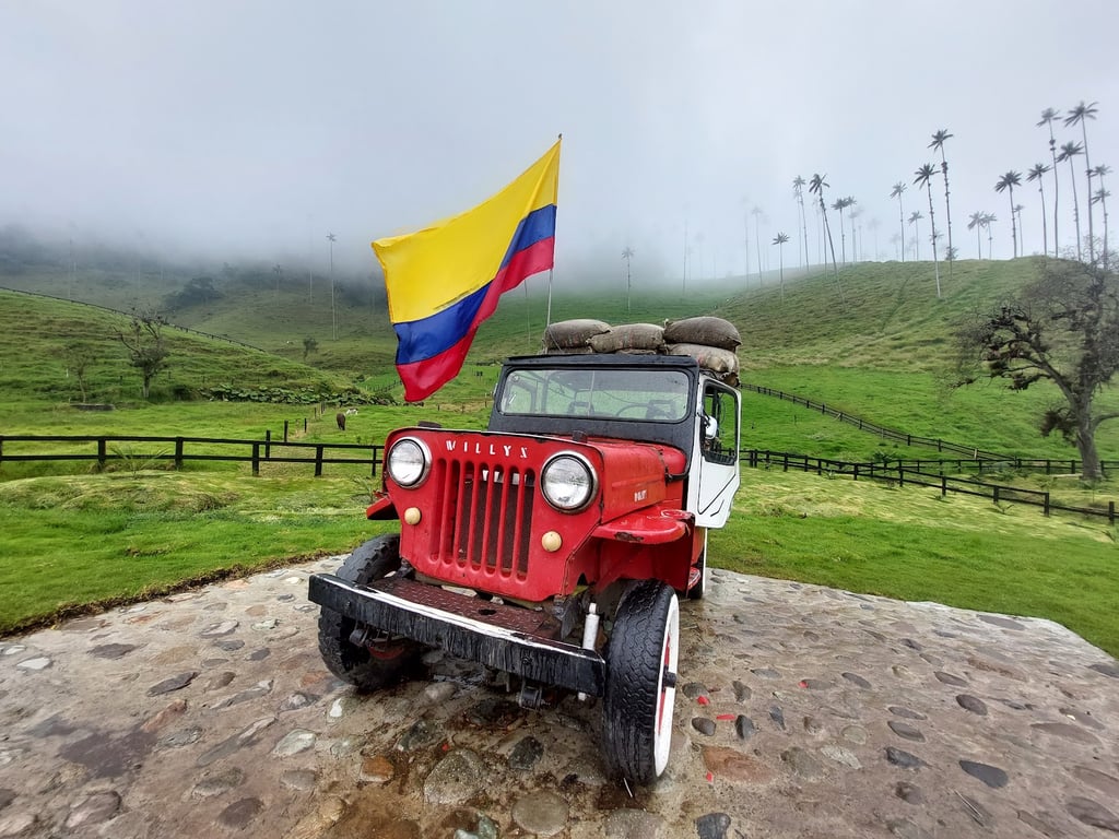 Cocora Valley
