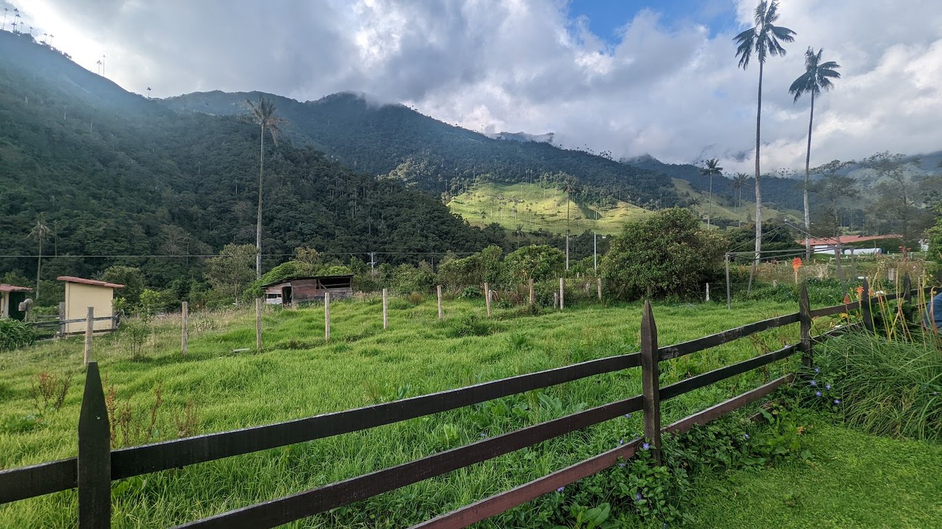 Cocora Valley