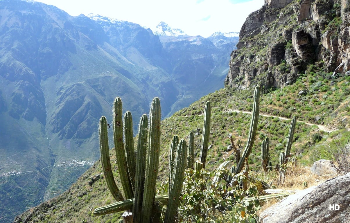 Colca Canyon