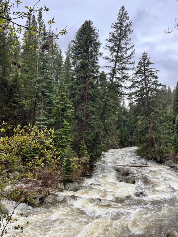 Fish Creek Falls