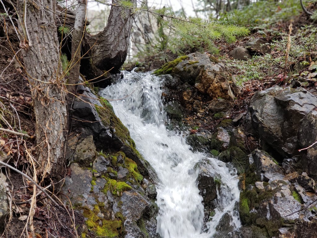 Fish Creek Falls