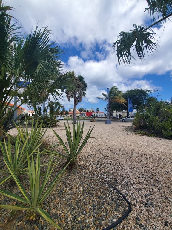 Colorful Downtown Oranjestad