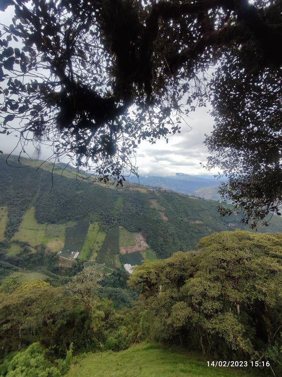 Columpio del Fin del Mundo