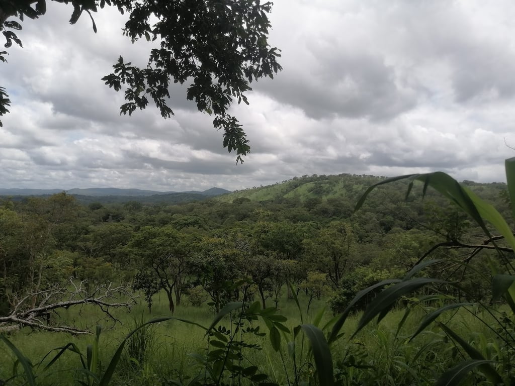 Comoé National Park