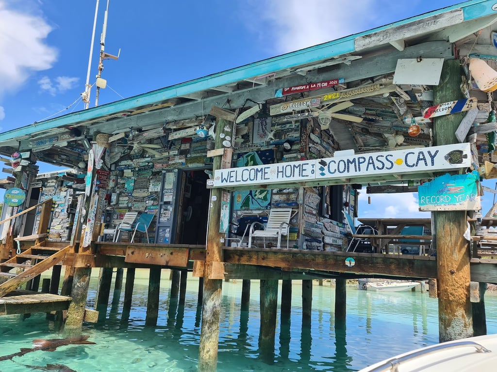 Compass Cay Nurse Sharks