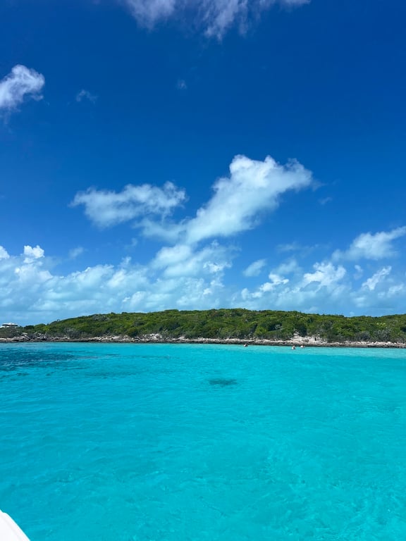 Compass Cay Nurse Sharks