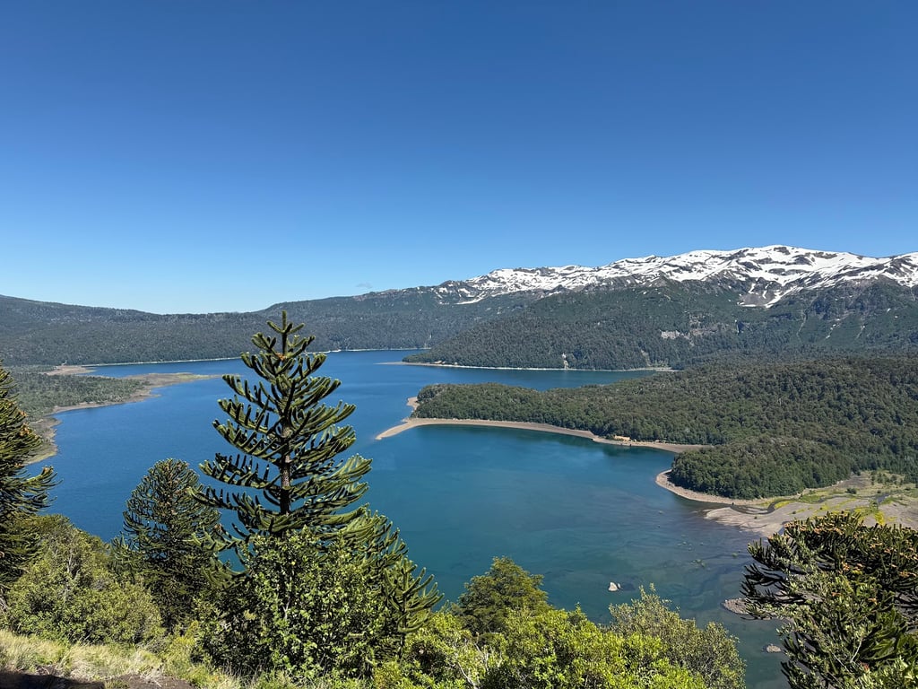 Conguillío National Park