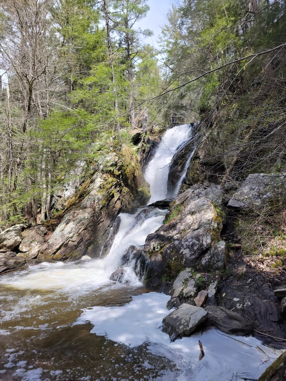Campbell Falls State Park Reserve
