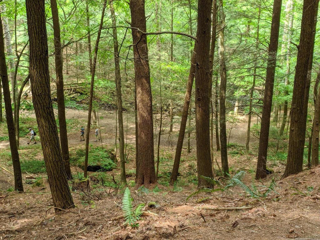 Campbell Falls State Park Reserve