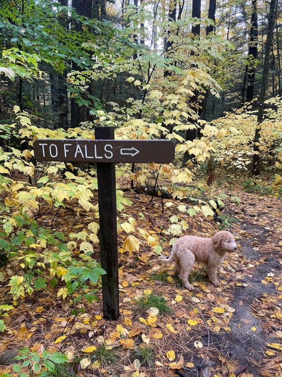 Campbell Falls State Park Reserve