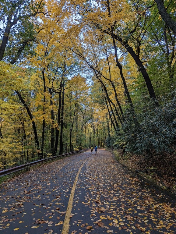 East Rock Park