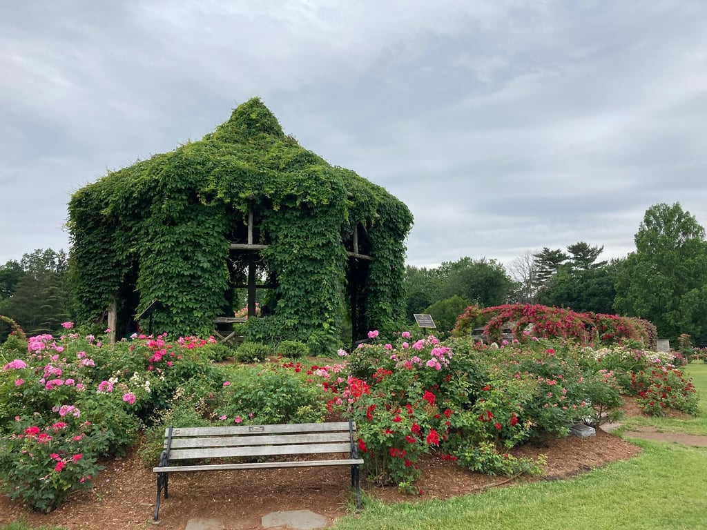 Elizabeth Park Rose Garden
