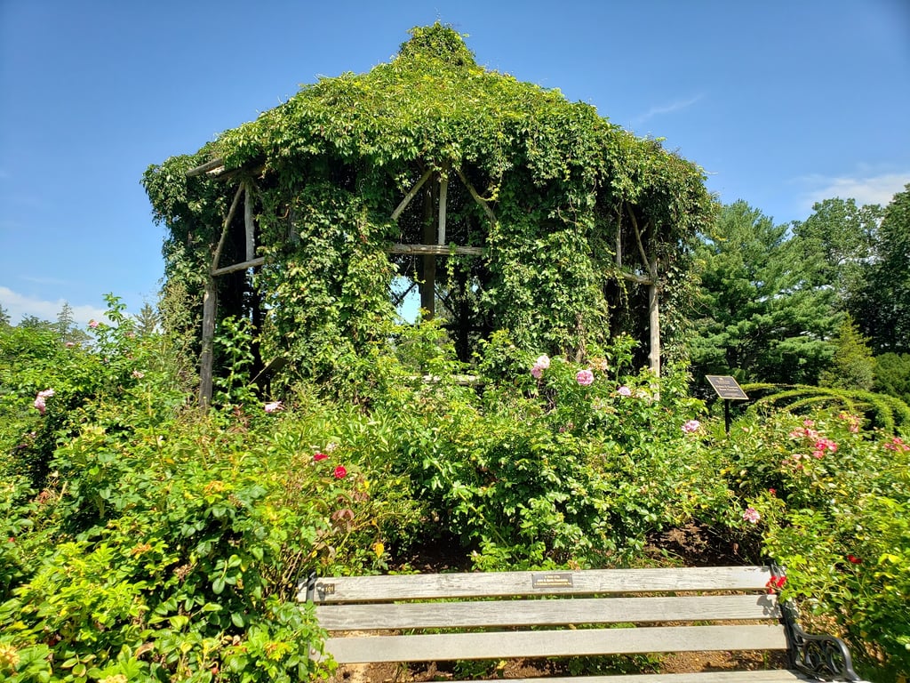 Elizabeth Park Rose Garden