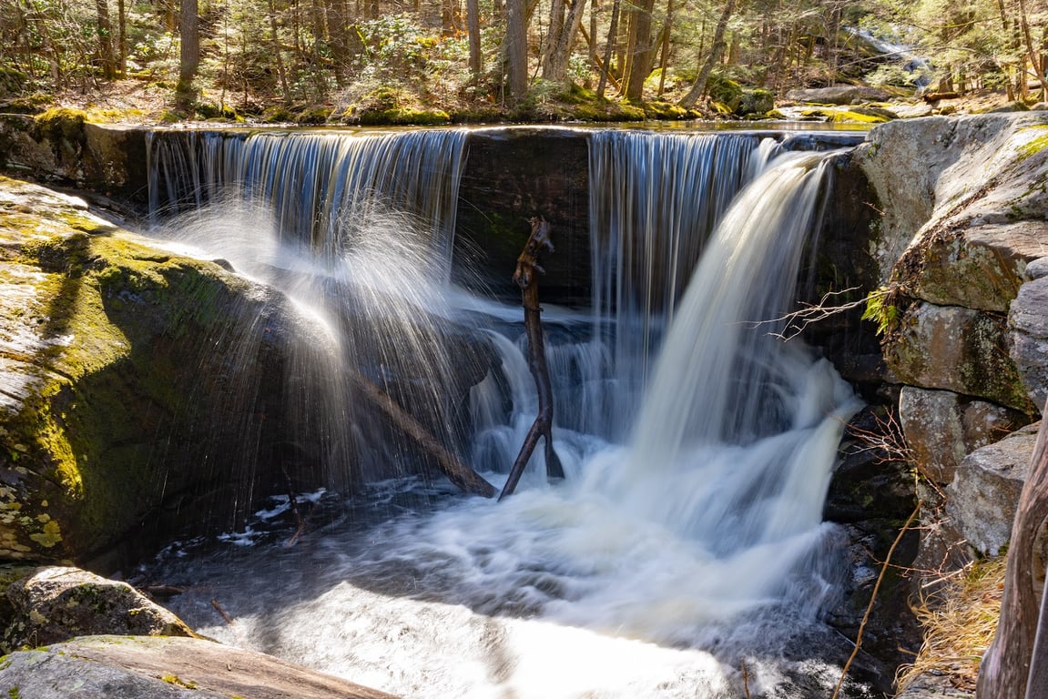 Enders State Forest
