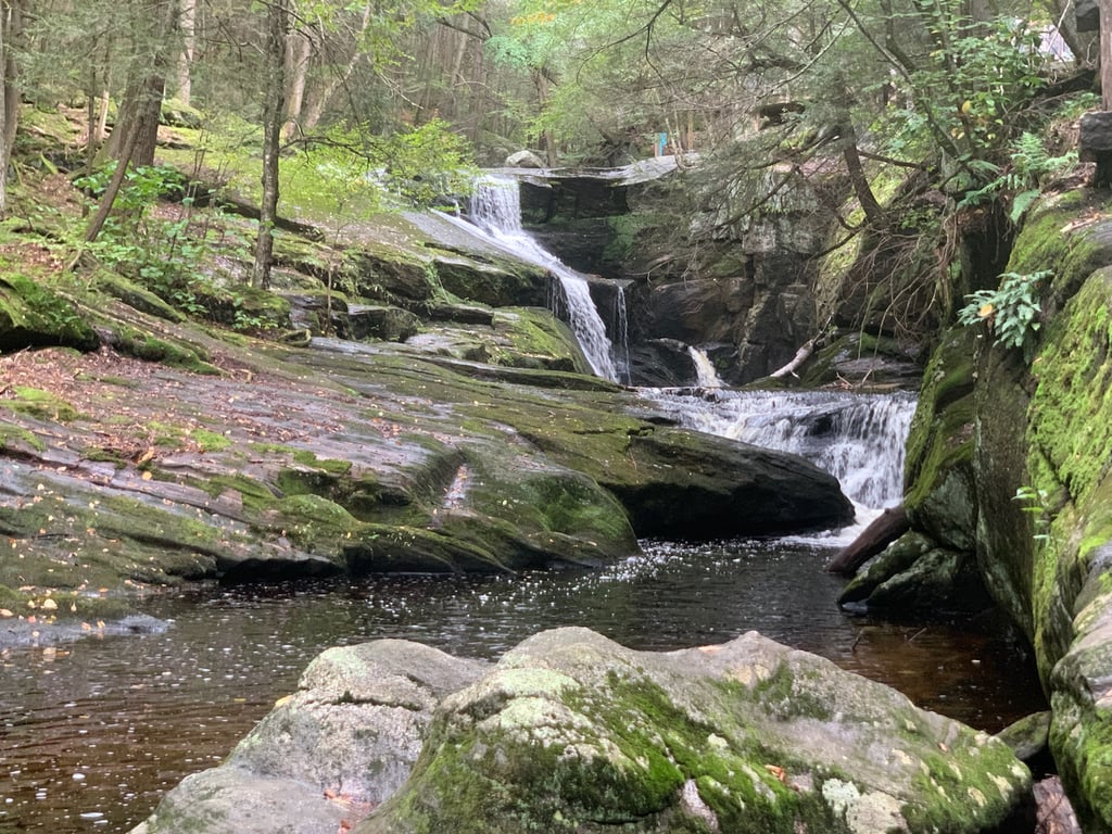 Enders State Forest