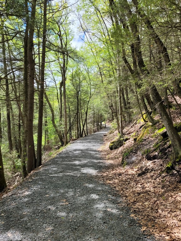 Enders State Forest