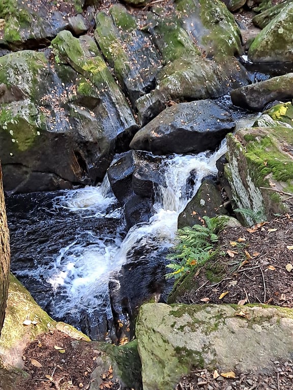 Enders State Forest