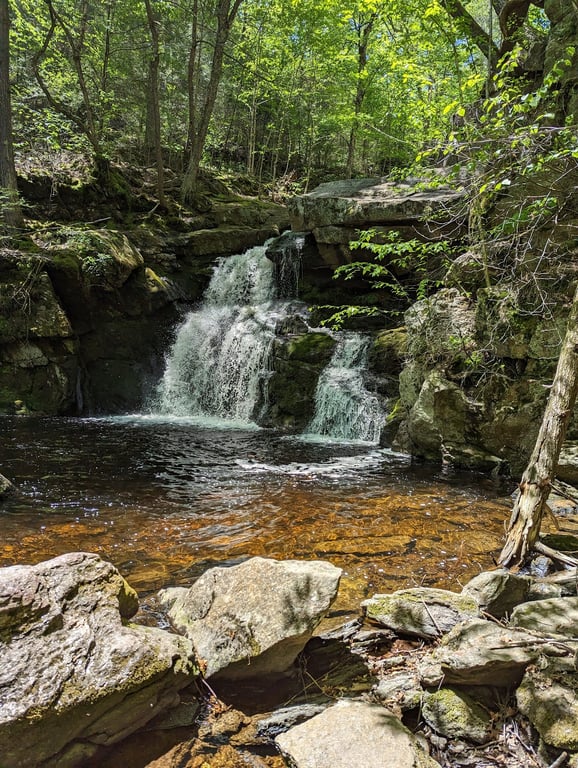 Enders State Forest