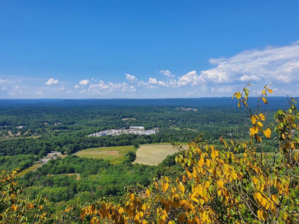Heublein Tower