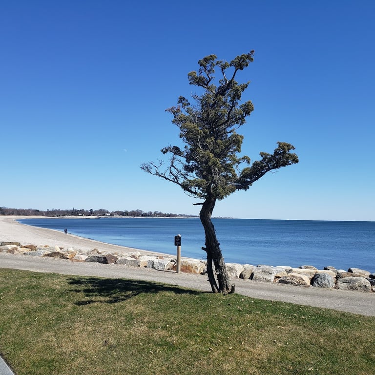Sherwood Island State Park