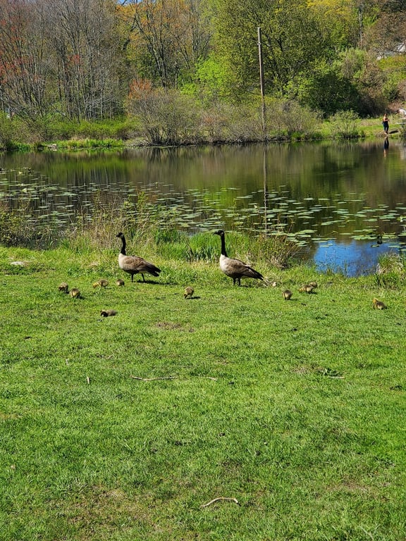 Southford Falls State Park