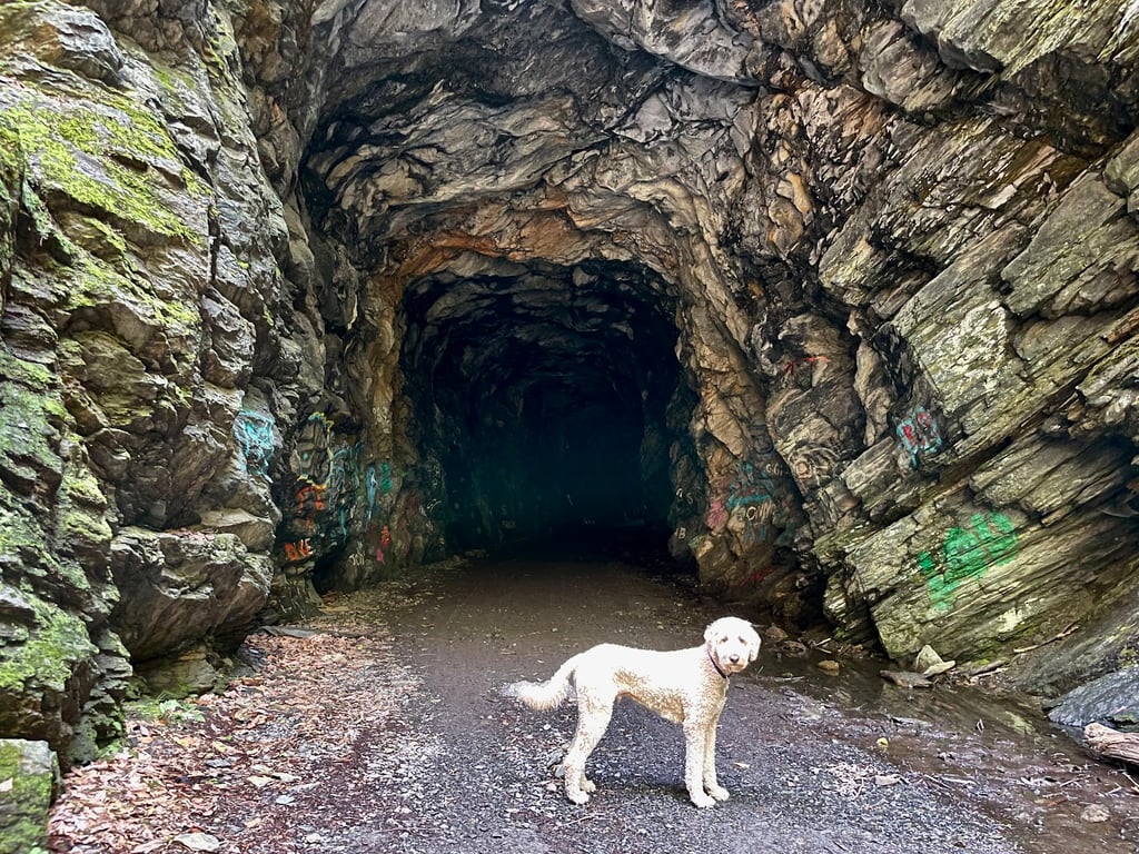 Steep Rock Preserve