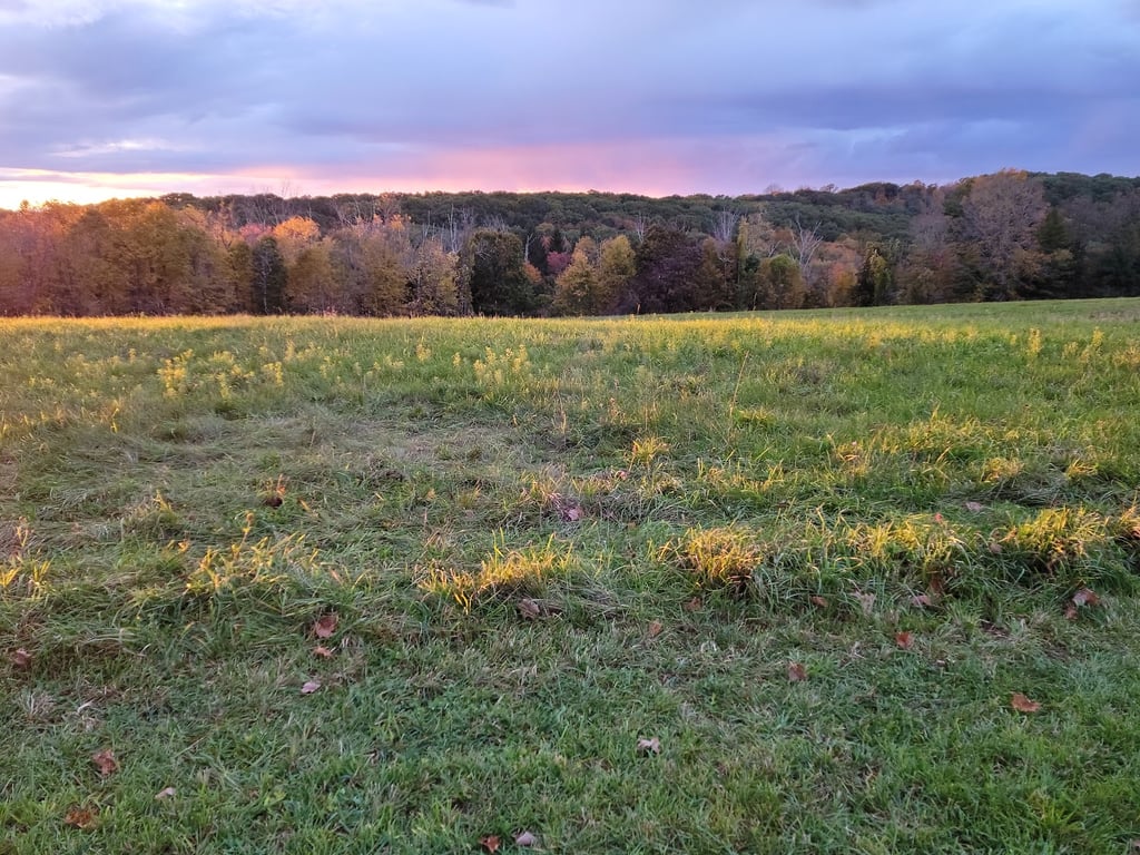 Topsmead State Forest